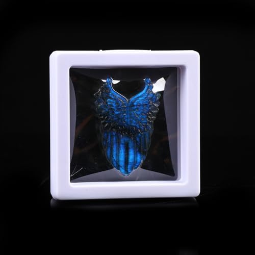 Laufout Natural Labradorite Wing Skull Statue