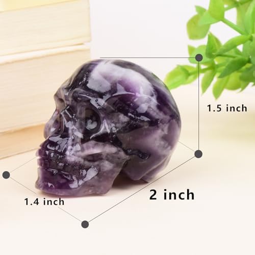 QLRSUXN 2 Inch Amethyst Crystal Skull Decor