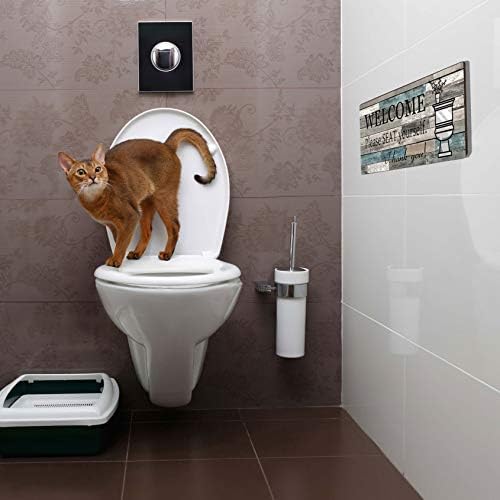 Funny Bathroom Wall Decor Sign 16x8 Wood Plaque