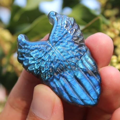 Laufout Natural Labradorite Wing Skull Statue