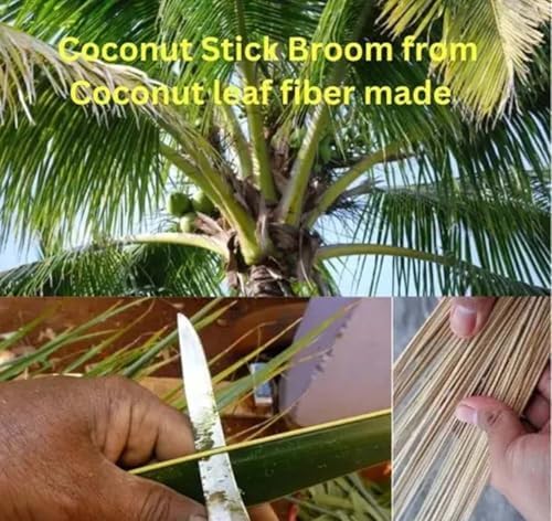 Natural Coconut Fiber Floor Broom 38-40 Inches Traditional Hand Broom