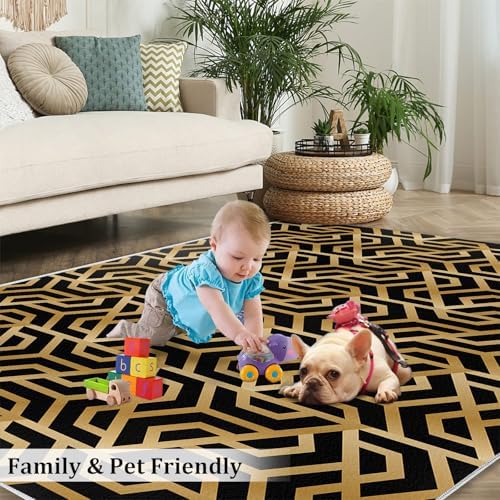 BUPEKEQ 2x3 Black Gold Area Rug for Living Room 1