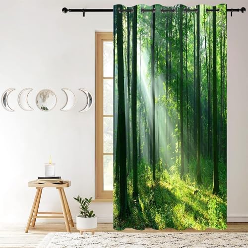 Spring Forest Door Curtain 42x80 Inch 1 Panel Privacy Cover
