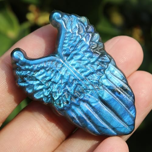 Laufout Natural Labradorite Wing Skull Statue