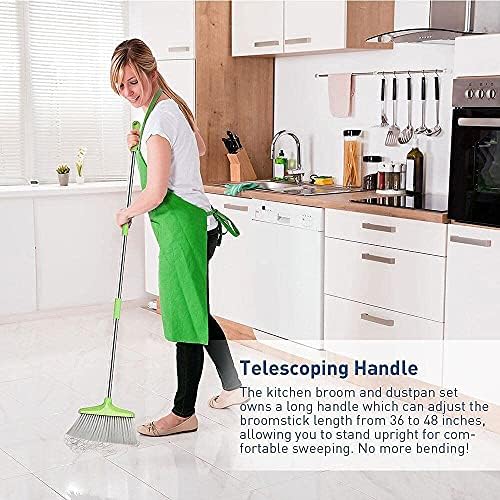FGY 48 Broom Dustpan Set with Green Handle