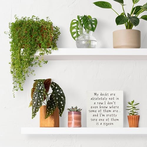 Funny Office Wood Box Sign 5x5 Inches