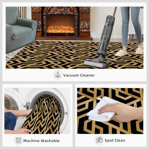 BUPEKEQ 2x3 Black Gold Area Rug for Living Room 1
